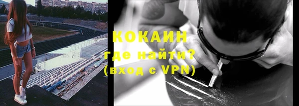 твердый Абаза