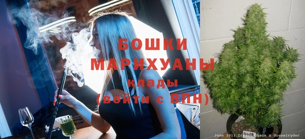 шишки Алзамай