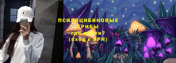 сатива Абдулино